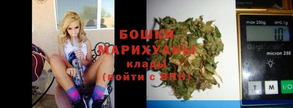 сатива Волосово