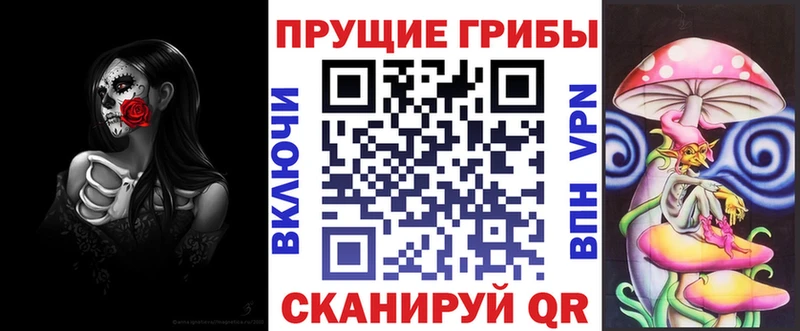 Галлюциногенные грибы Psilocybe  Староминская 