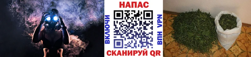 Бошки марихуана MAZAR  hydra как зайти  Староминская 